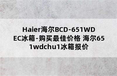 Haier海尔BCD-651WDEC冰箱-购买最佳价格 海尔651wdchu1冰箱报价